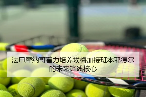 fa-jia-mo-na-ge-zhuo-li-pei-yang-ai-mei-jia-jie-ban-ben-ye-de-er-de-wei-lai-feng-xian-he-xin-3-784.jpg
